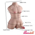 William-20.9LB Torso With Cock Sex Toy For Women